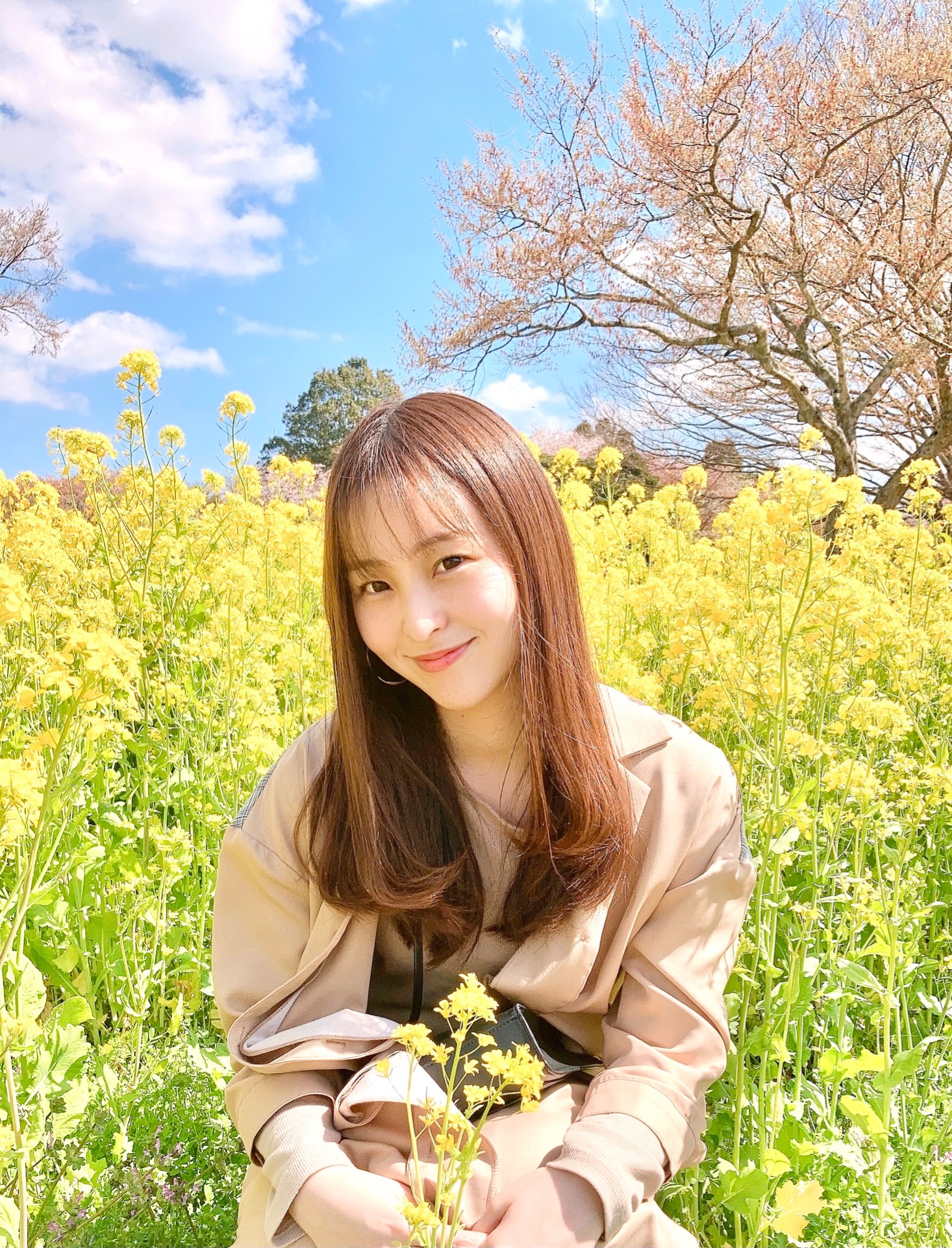 あや/プロフ有ページ 51Er2CcJd6L._UF350,350_QL50_.jpg